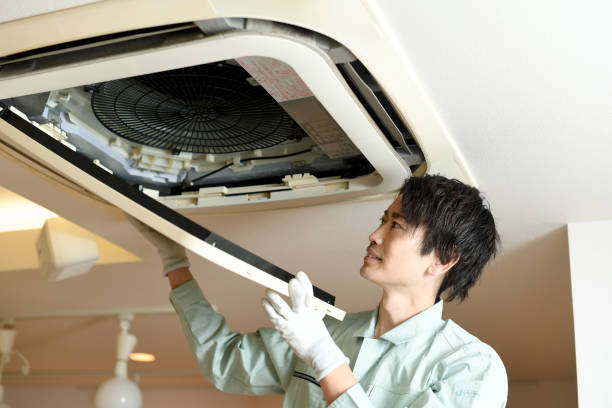 Air Duct Mold Removal in Greenhills, OH