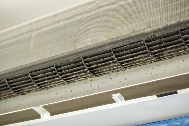 Best Emergency Air Duct Cleaning  in Greenhills, OH